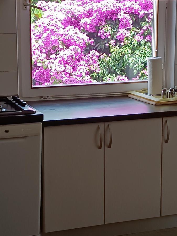 Apartments Sirius 코츌라 외부 사진